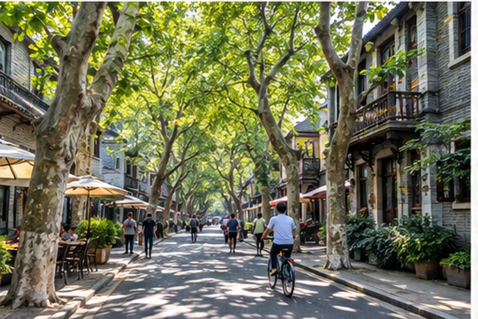 Leafy neighborhood street with pedestrians and bicycles in Shanghai